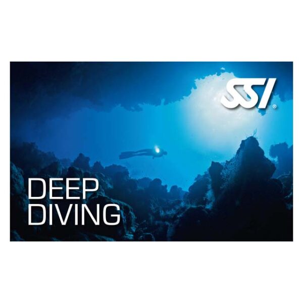Logos - SSI-DEEP