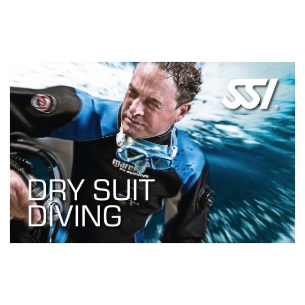 Logos - SSI-Dry