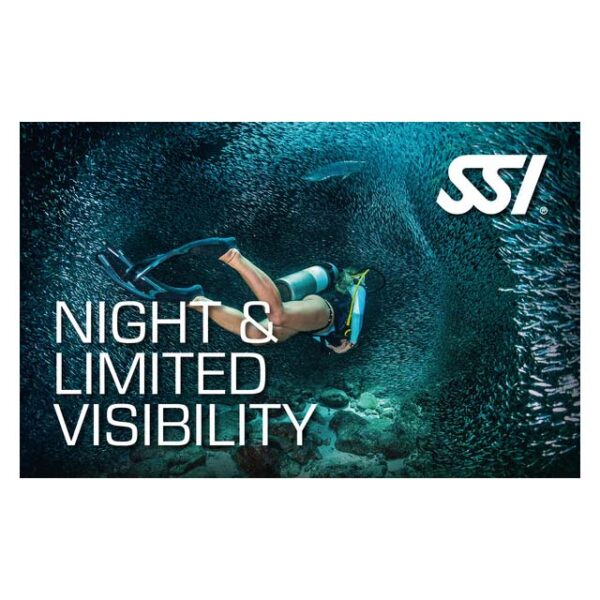 Logos - SSI-Night
