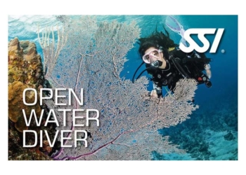 Open Water Diver – Kurskit Bundle