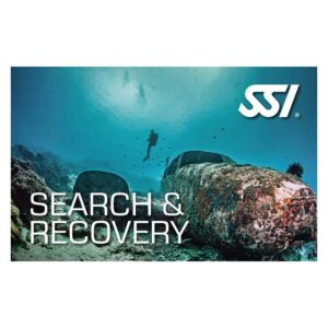 Logos - SSI-SR