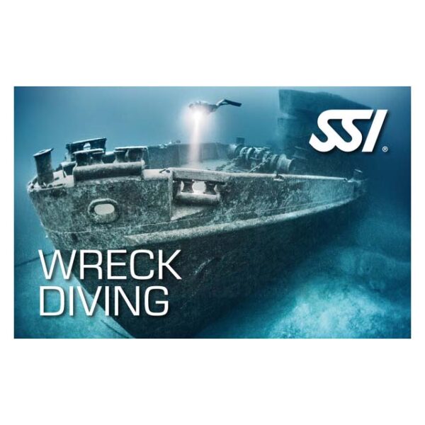 Logos - SSI-Wreck