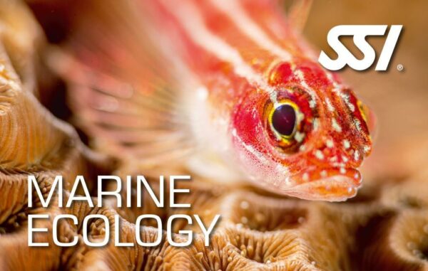 Ecology - Marine Ecology