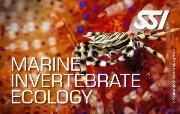 Ecology - SSI Inverterbrate