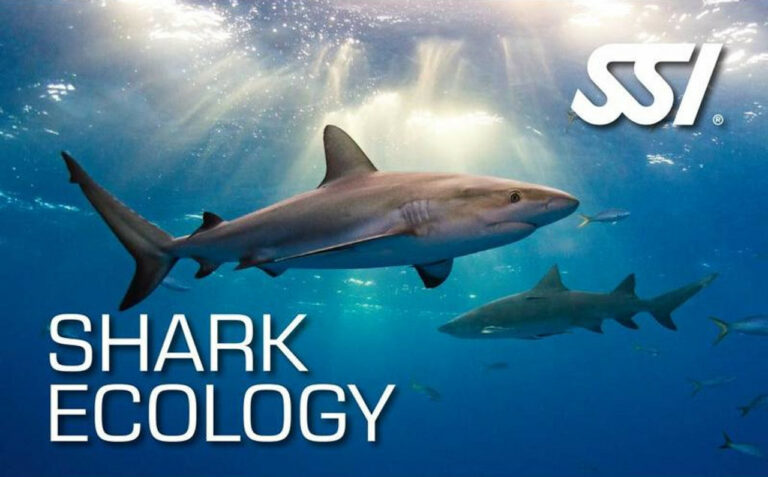 Ecology - Shark Ecology